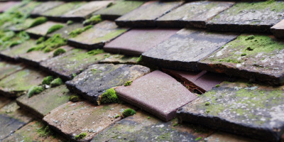 Wilson roof repair costs